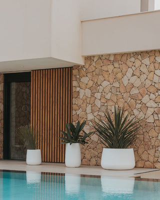 Las Macetas más vendidas