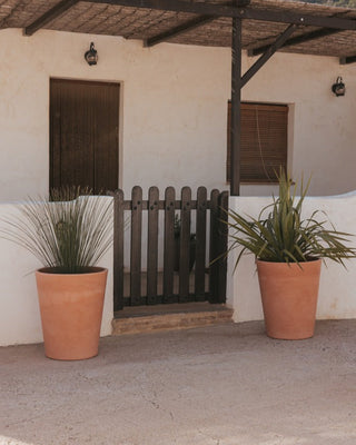 Packs Macetas e Iluminación (%)