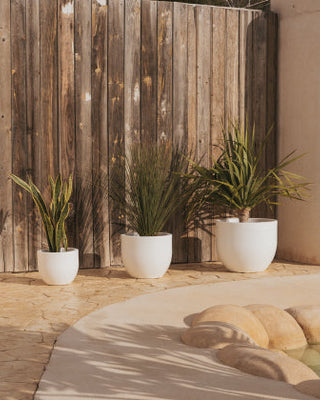 Maceteros y Macetas Redondas