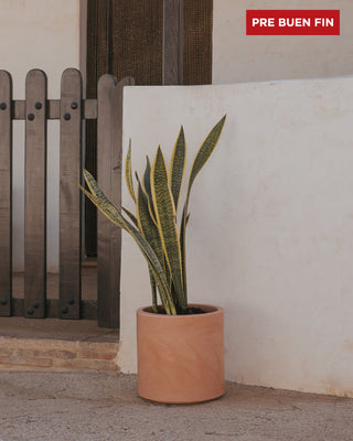 Pre Buen Fin - Packs de macetas