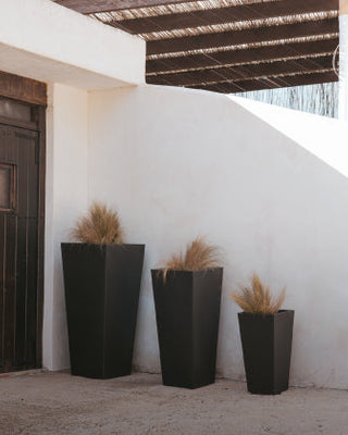 Ver todas las macetas