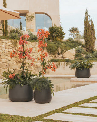 Macetas y maceteros sin iluminación