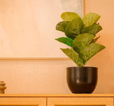 PACK 5 UNIDADES MACETA AZALEA 20