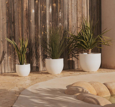 PACK 3 UNIDADES MACETA REDONDA AZALEA 50