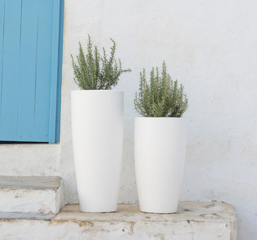 PACK 4 UNIDADES MACETA BAMBÚ 70