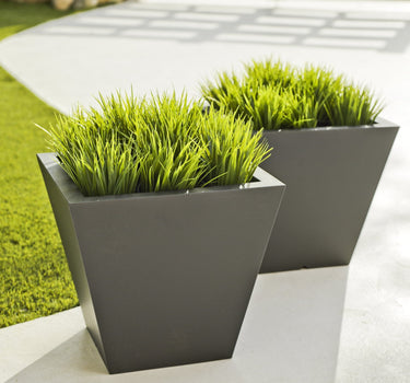 PACK 5 MACETA CLAVEL 30