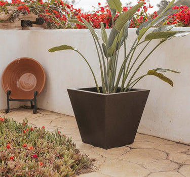 PACK 5 UNIDADES MACETA CLAVEL 40