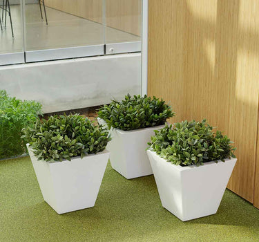 PACK 5 MACETA CLAVEL 30