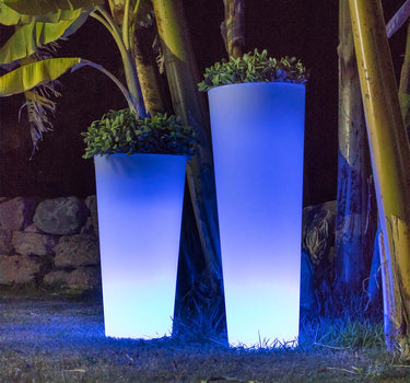 MACETA CON LUZ FICUS 60