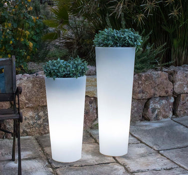 MACETA CON LUZ FICUS 60