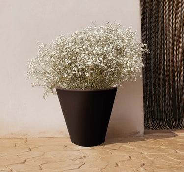 PACK 3 UNIDADES MACETA GIRASOL 45