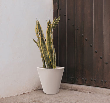 PACK 3 UNIDADES MACETA GIRASOL 45