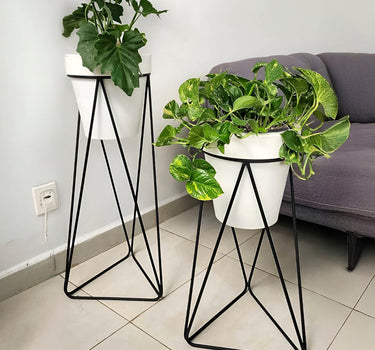 SET 2 MAGNOLIA 30 BLANCO + BASE ALTA + BASE BAJA