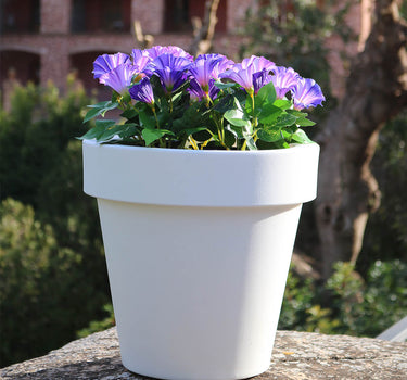 PACK 3 MACETA MAGNOLIA 30