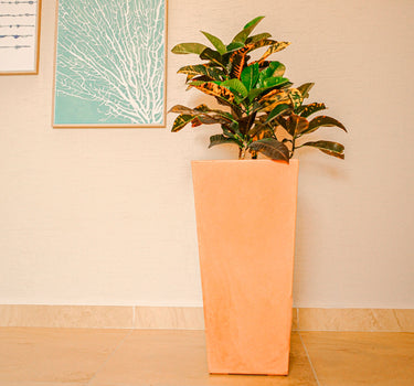 PACK 3 MACETA MELISA 30