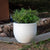 AZALEA 40 color round planter