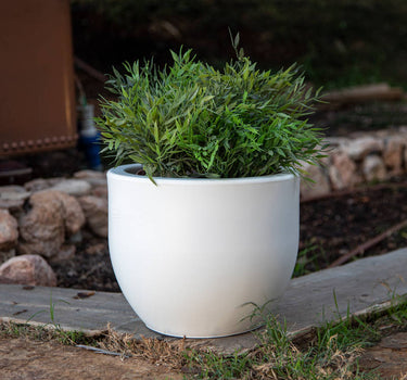 PACK 4 MACETA AZALEA 30