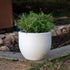 AZALEA 30 color round planter