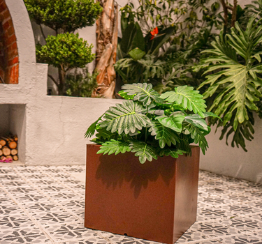 MACETA NARCISO 40 LISO