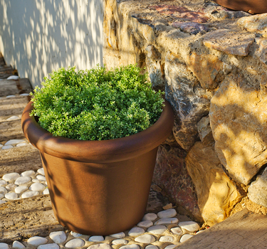 MACETA ROSA 45 RÚSTICA