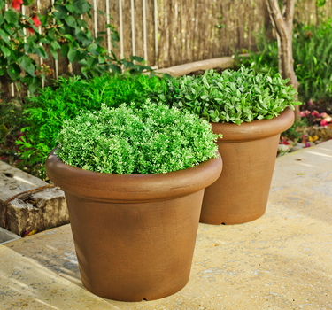 MACETA ROSA 45 RÚSTICA