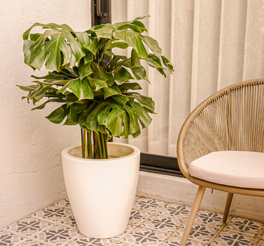 PACK 3 UNIDADES MACETA VIOLETA 40