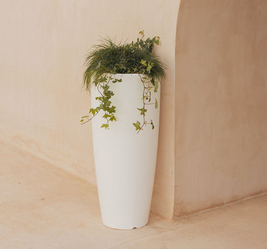 PACK 2 UNIDADES MACETA BAMBÚ 90