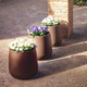 CAMELIA 40 color round flowerpot