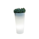 Round planter with light FICUS 60