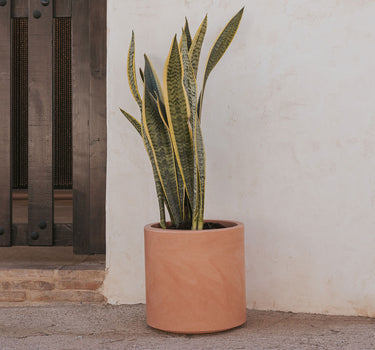 PACK 4 UNIDADES MACETA HORTENSIA 40