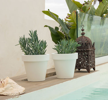 PACK 5 MACETA MAGNOLIA 30