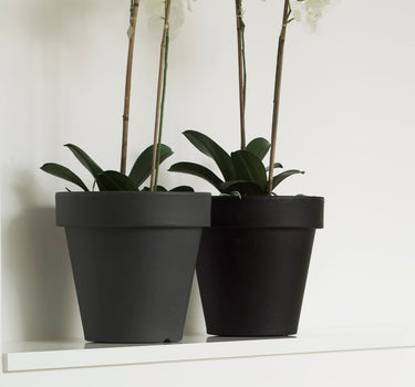 PACK 5 MACETA MAGNOLIA 30