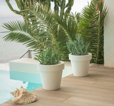 PACK 3 MACETA MAGNOLIA 30