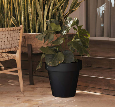 PACK 2 MACETA MAGNOLIA 45