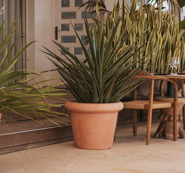 MACETA ROSA 55 RÚSTICA