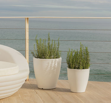 PACK 3 UNIDADES MACETA VIOLETA 55